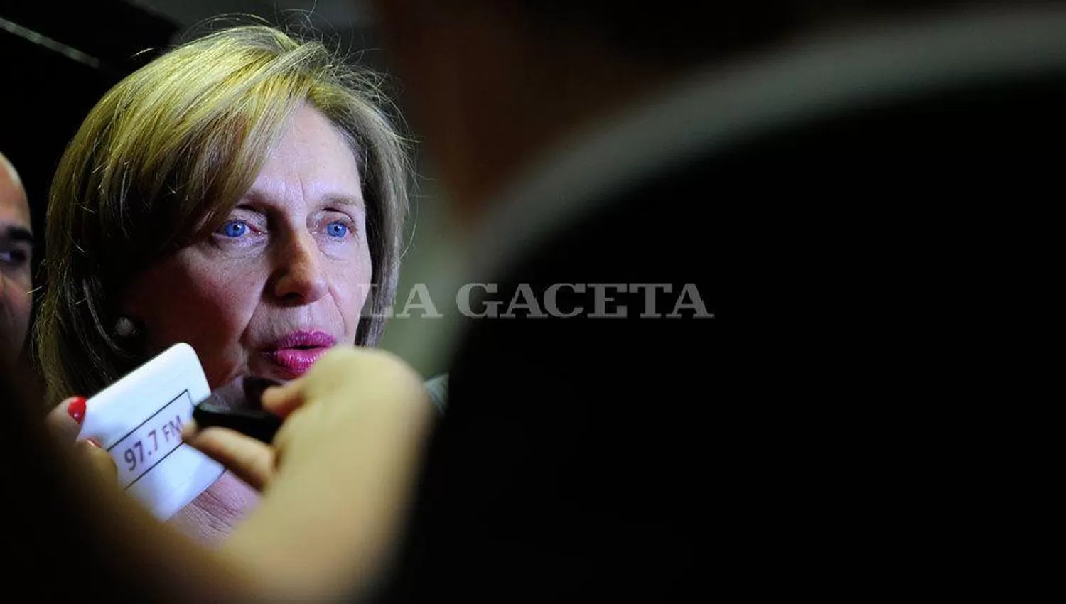 BEATRIZ ROJKES. La peronista es ex senadora nacional.