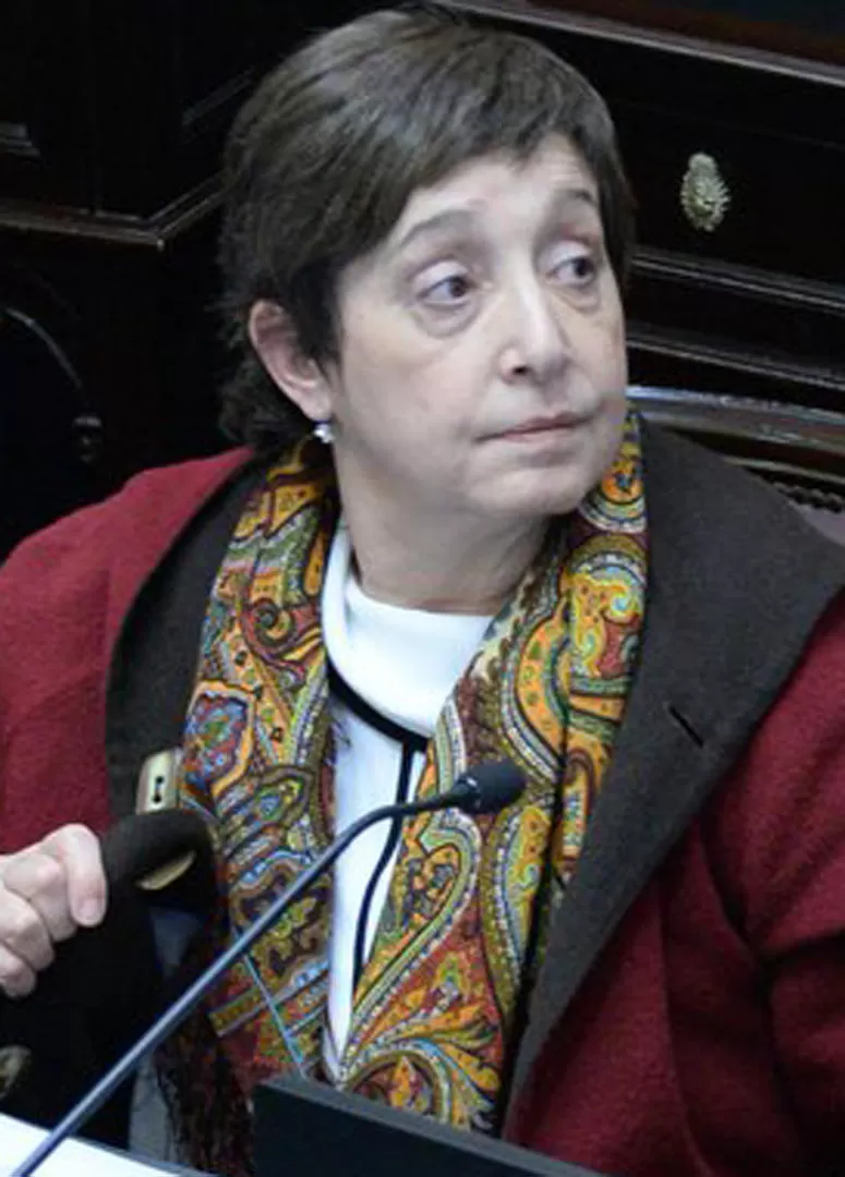 SENADORA NACIONAL. Mirkin es integrante del equipo alperovichista. 