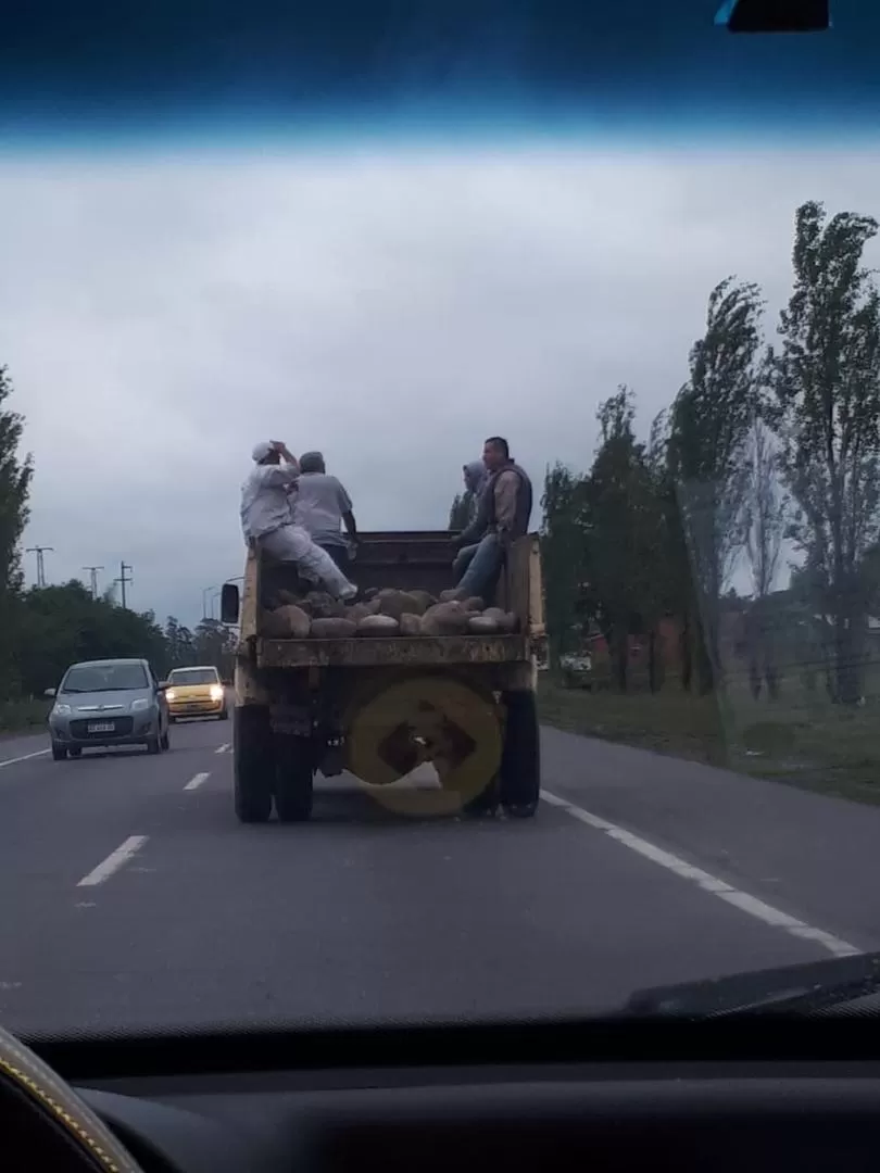 Obreros de Arcadia viajan en la caja de un camión sin respetar normas de seguridad