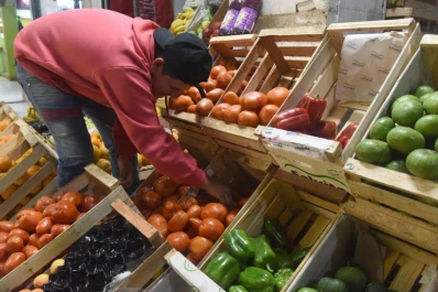 Los tomateros alertan sobre el desfase de precios