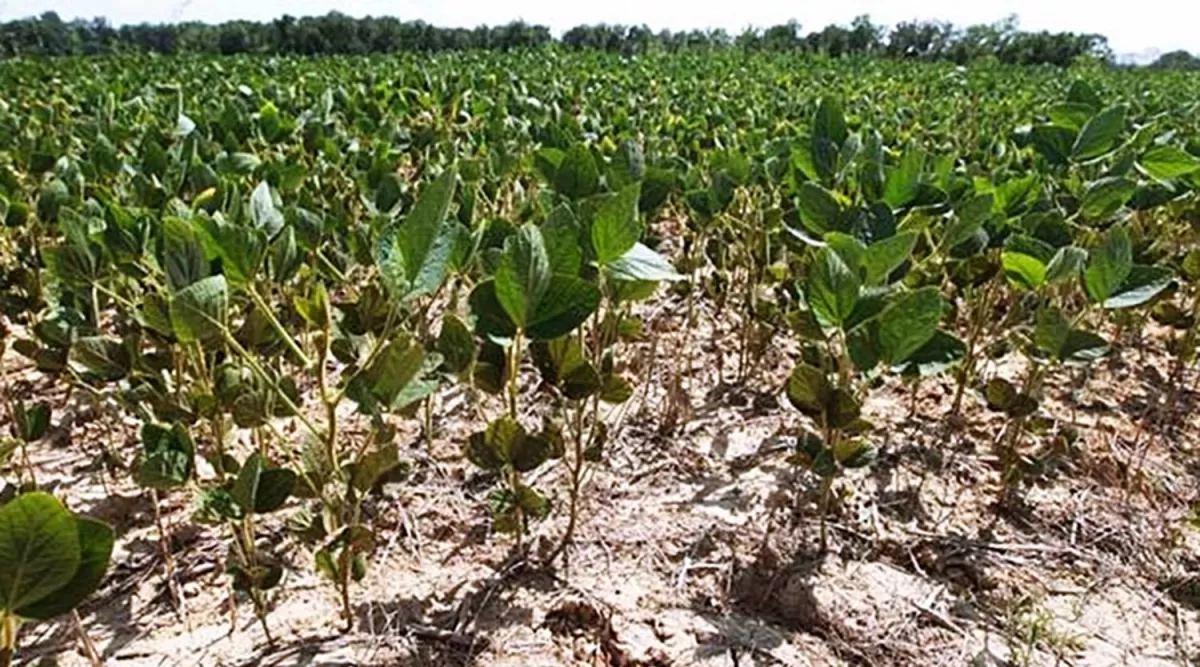 Caducó una ley que beneficia a productores