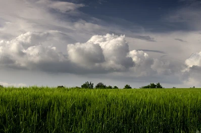 Emitieron un alerta por tormentas y lluvias intensas para el este de Tucumán