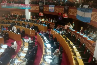 Proyecto para evitar abortos por violación: claves de un tema controvertido