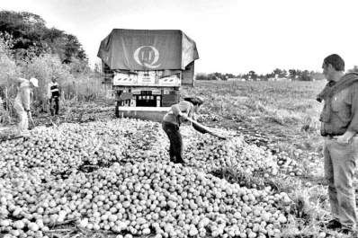 Las barreras fijas y móviles se fusionan en una sola red de control