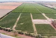 Nuevo predio de Atlético en San Andrés: un sueño a 10 minutos de la ciudad