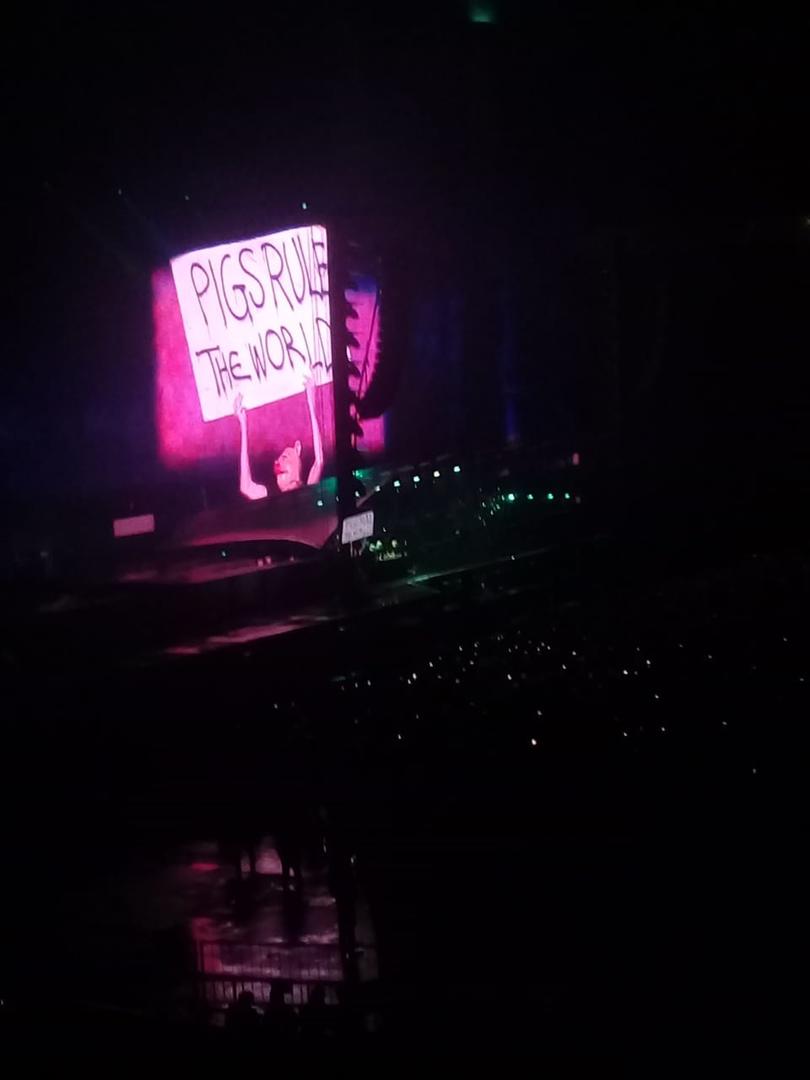 “Los cerdos manejan el mundo”. Waters camina con el cartel y es mensaje y es despliegue escénico. 