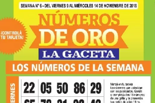 Controlá tu tarjeta: la grilla completa de los Números de Oro