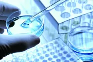 Donación de gametos: de qué se trata y dónde se puede realizar