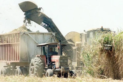 Zafra 2018 | Impacto climático: las heladas bajaron los rindes de la caña