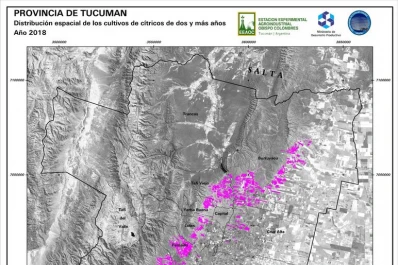 Tafí Viejo tiene menos hectáreas con citrus que hace dos años