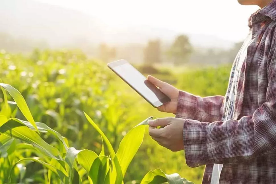 FAVORABLE. En el sector agrícola hay casi total coincidencia en que el desarrollo y la generación de tecnología deben generar una retribución para el obtentor.  