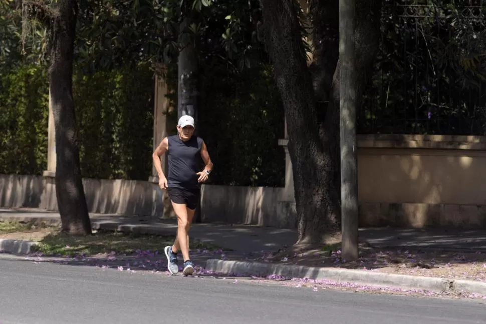 “LEYENDA”. Tal es el apodo de Gianfrancisco que corrió ya 161.200 km. LA GACETA / FOTO DE DIEGO ARÁOZ.-