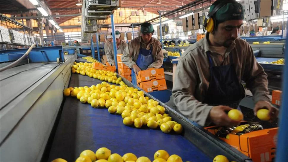 Los trabajadores del campo dicen que están habilitados para cobrar el bono de fin de año