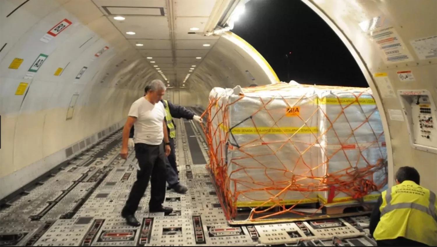 Parte hoy desde Ezeiza el primer cargamento de arándanos hacia China