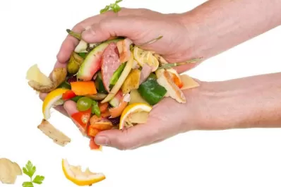 Sin desperdicio: el trash cooking o el arte de cocinar con restos