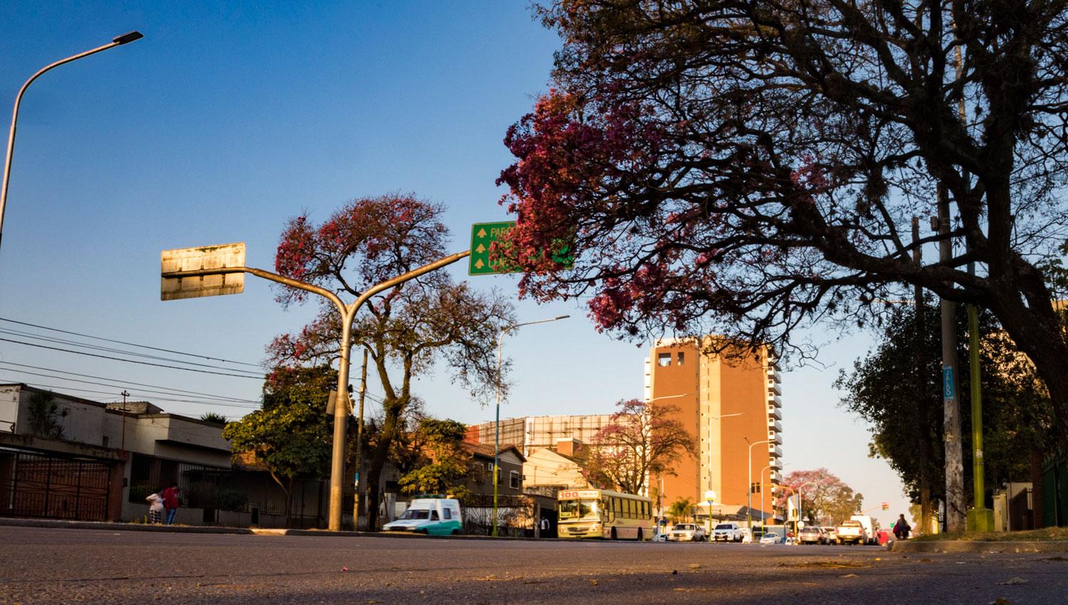 Edificios y espacios verdes, una combinación que convierte a la Mate de Luna en un punto estratégico para vivir e invertir