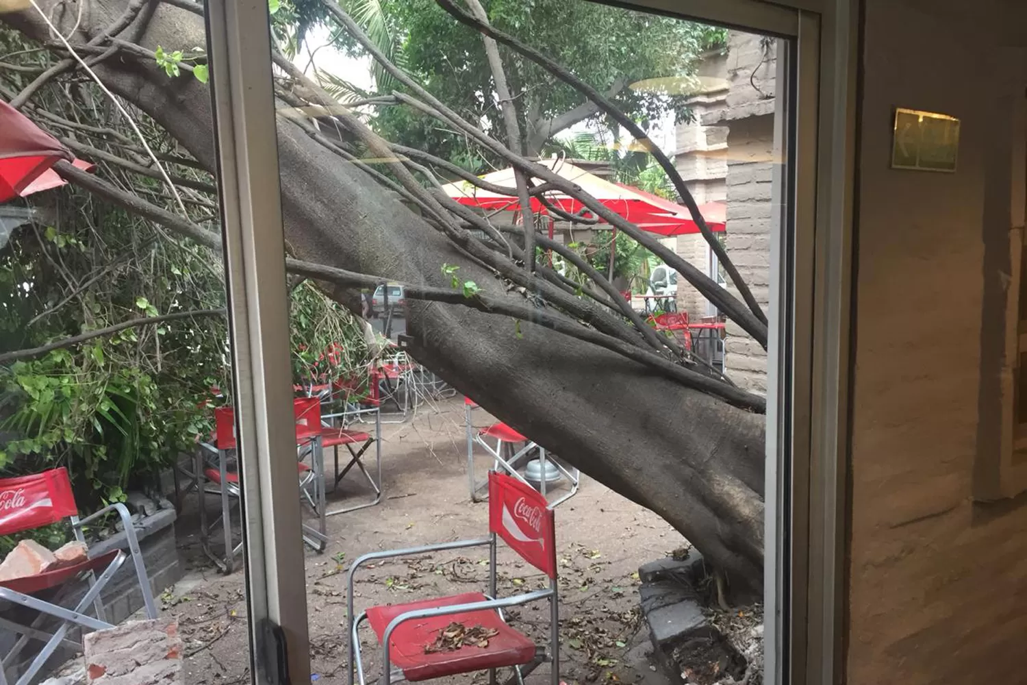 LAS PALMAS. Restaurante ubicado en 25 De Mayo y Marcos Paz.