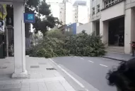 Calles cortadas, árboles caídos y techos derribados por el fuerte viento