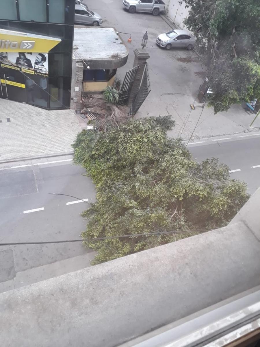 Calles cortadas, árboles caídos y techos derribados por el fuerte viento