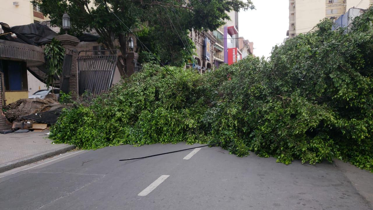 Calles cortadas, árboles caídos y techos derribados por el fuerte viento