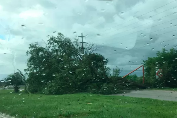 Árboles, postes de luz y chapas: lo que el viento dejó en Tucumán