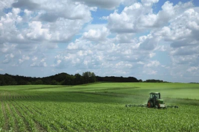 G20: Argentina está retrasada en protección de derechos de propiedad intelectual