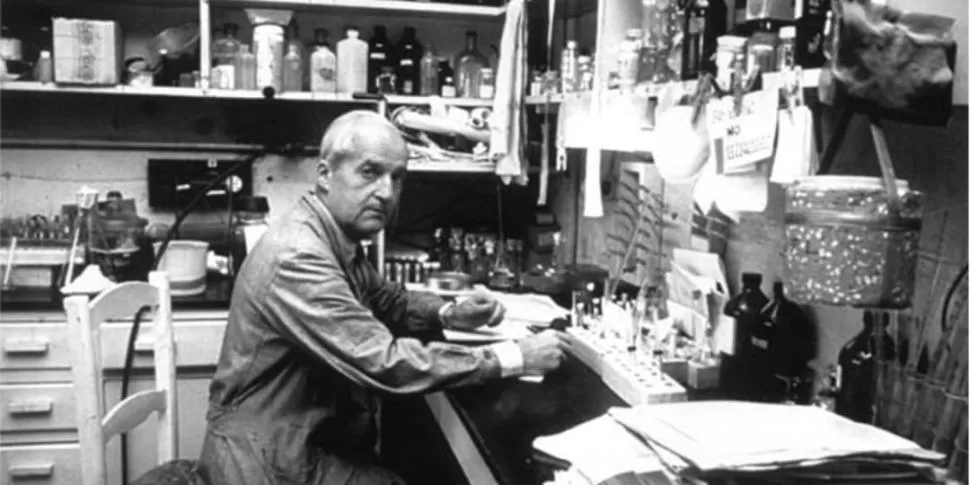 GENIO Y FIGURA. La particular modestia de Leloir se reflejaba tanto en la silla de paja de su laboratorio como en su trato con su equipo de trabajo. 