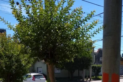 Obreros dejaron un pozo abierto