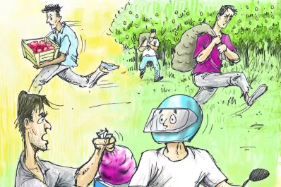 Registraron casos de robo de carne, tomates y limones debido a la crisis económica