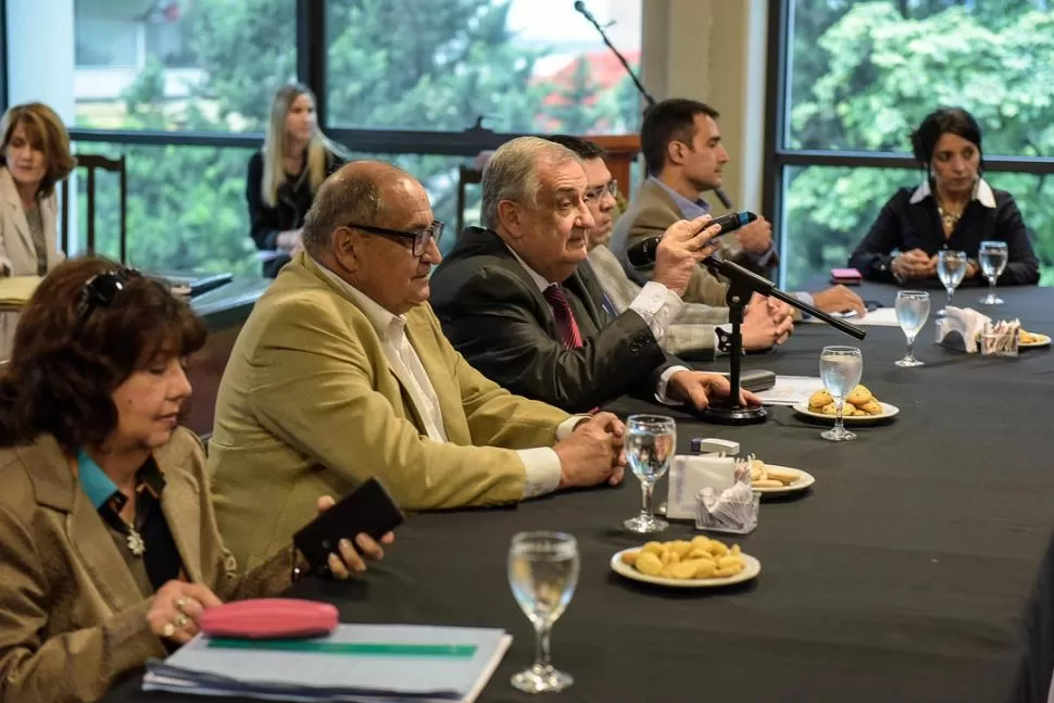 EN LA LEGISLATURA. El legislador Ruiz Olivares anuncia ante el micrófono la visita del ministro Garvich, a su derecha. prensa legislatura