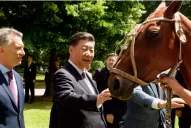 Un caballo de polo y la batuta de Barenboim, los regalos de Macri al presidente de China