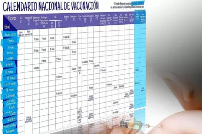 El carnet de vacunación podría ser tan importante como el DNI