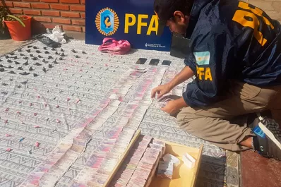 A dónde irá el dinero decomisado en causas por corrupción y narcotráfico