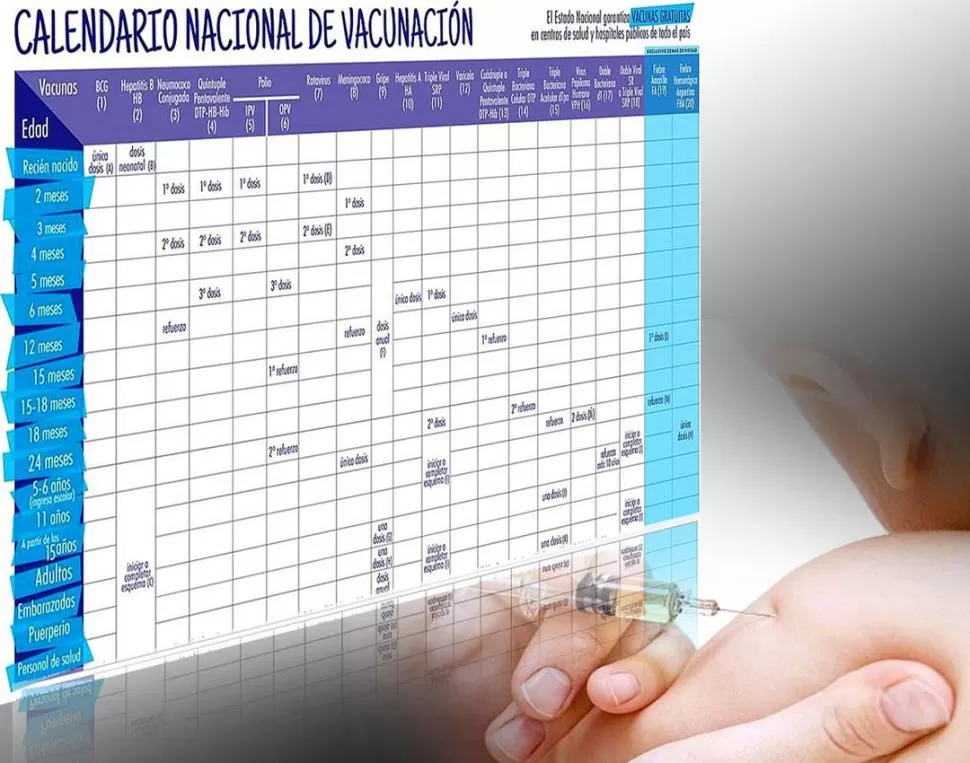 OBLIGATORIO. El carnet de vacunación podría ser solicitado para trámites fundamentales, a niños y adultos. 