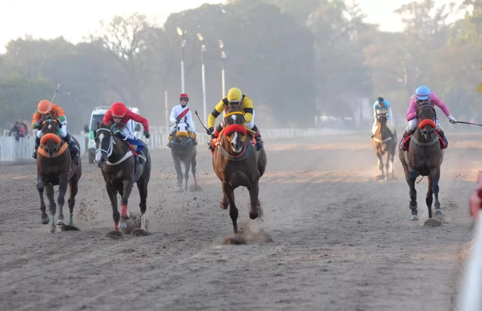 PROTAGONISTA. Binary Code competirá en el especial de 1.500 metros. la gaceta / foto de Antonio Ferroni