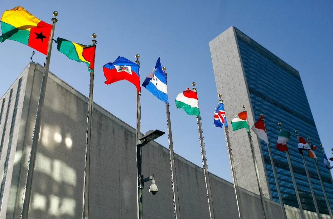 A 70 años de la declaración universal forjada por mujeres