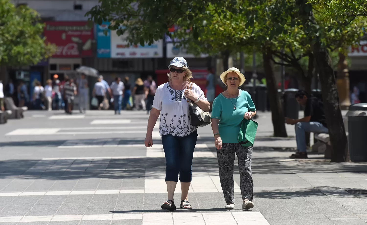 SOL Y MÁS SOL. La máxima para hoy será de 29°.