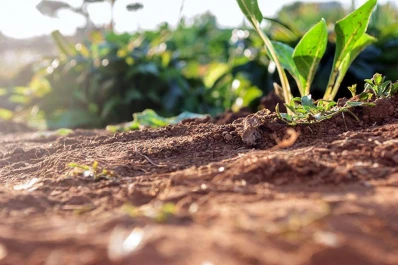 Hay que cuidar el suelo como soporte productivo