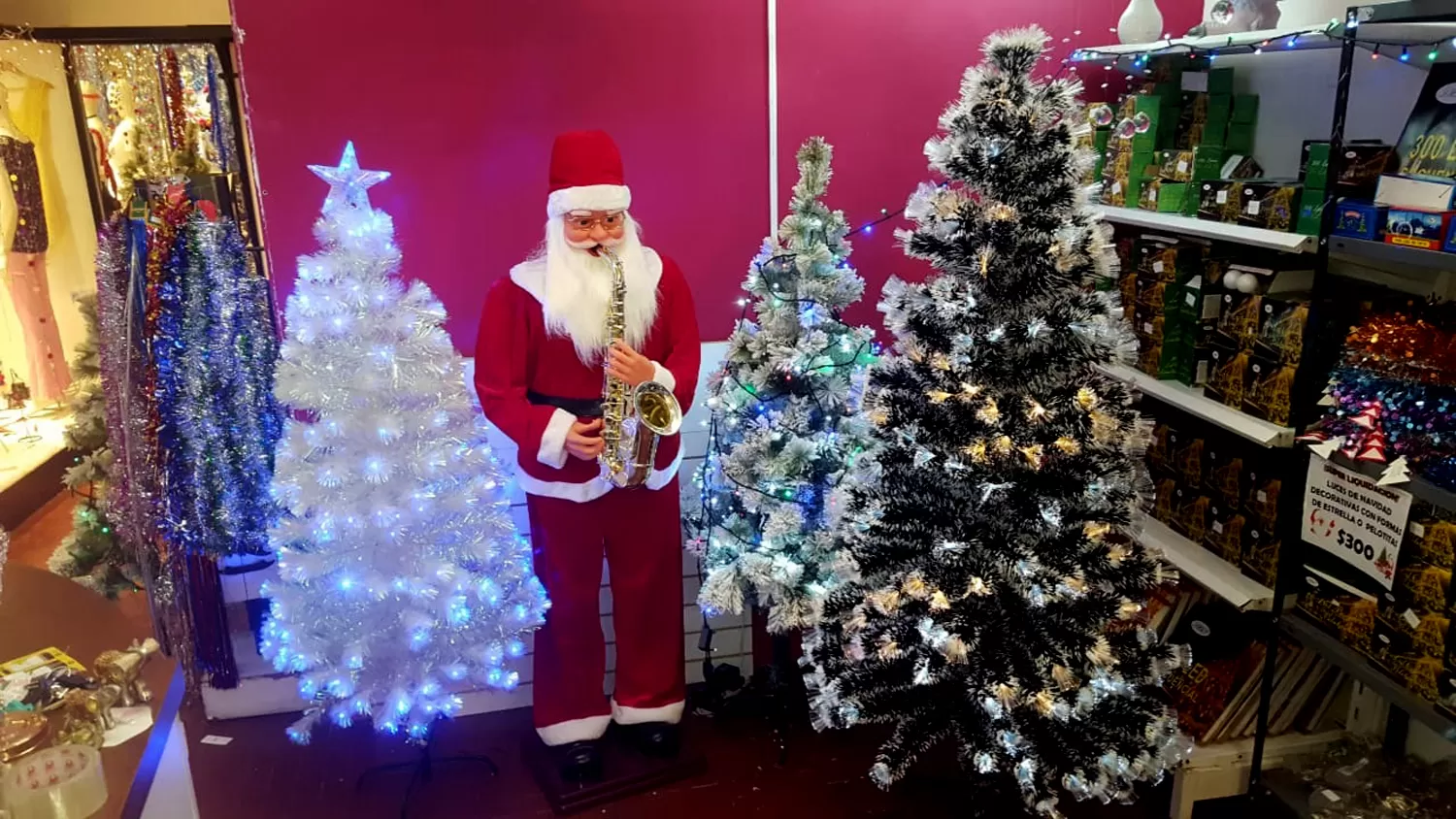 A pesar de la crisis, algunos tucumanos eligieron los arbolitos más grandes para esta Navidad