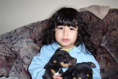 A 10 años de la desaparición de Sofía Herrera, habrá un megaoperativo de búsqueda