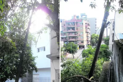 ›› Cartas de lectores