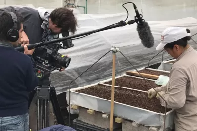 La historia del limón y de sus protagonistas en un filme documental