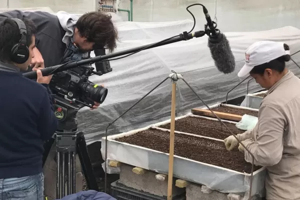 La historia del limón y de sus protagonistas en un filme documental