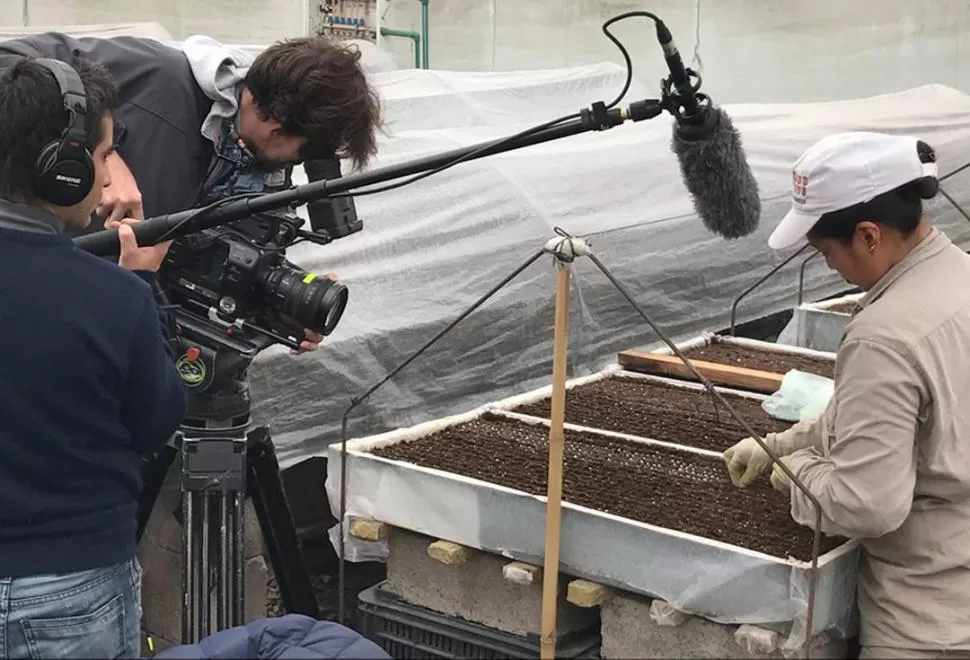 SIEMBRA. El trabajo registra el proceso de producción desde sus inicios. 