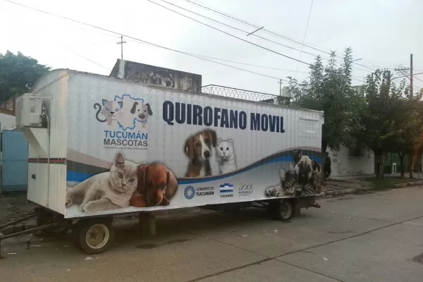 Tucumán Mascotas castró 28.500 animales en tres años