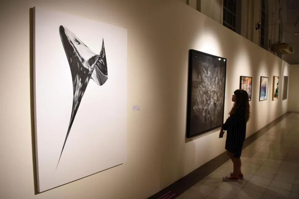 MUSEOS. Las visitas a las exposiciones se redujeron del 19% (2013) al 12,5% el año pasado. la gaceta / foto de diego aráoz ( archivo)