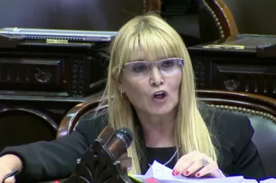 Soraire afirma que Alperovich será el candidato de Cristina