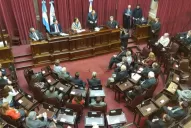 El Senado convirtió en ley el proyecto para capacitar a funcionarios públicos contra la violencia de género