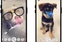 Snapchat introdujo lentes diseñadas específicamente para perros