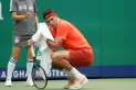 Del Potro se bajó del primer Grand Slam del año